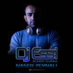 دانلود آهنگ ناصر زینلی الماس (ریمیکس دی جی اسی)